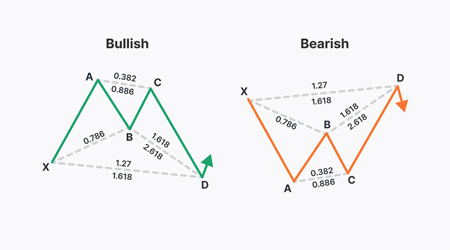 الگوی پروانه